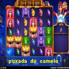 puxada do camelo no jogo do bicho